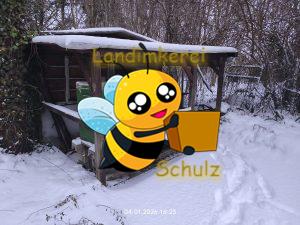 Mehr über den Artikel erfahren Trauriger Start in 2026