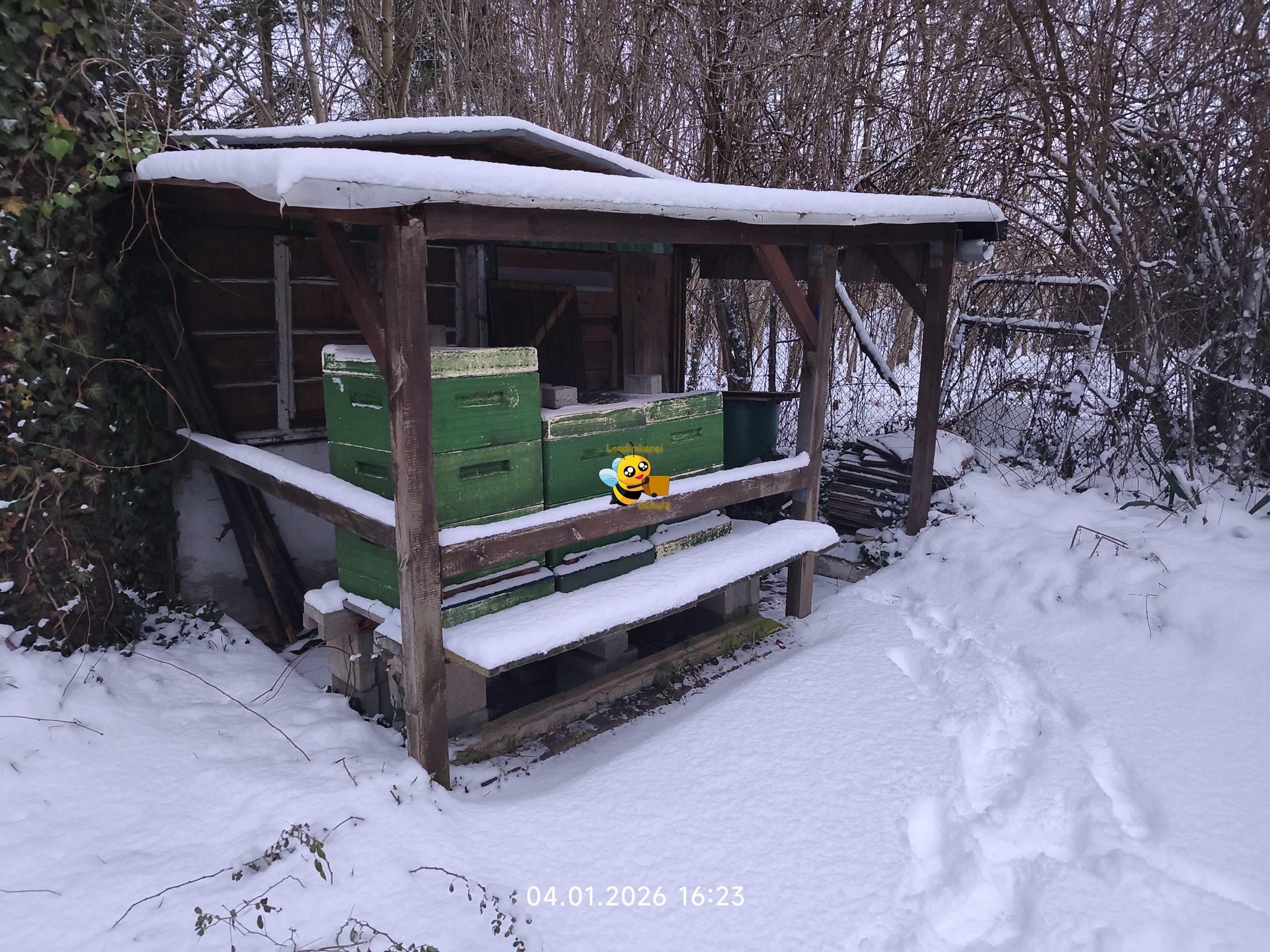 Du betrachtest gerade Trauriger Start in 2026