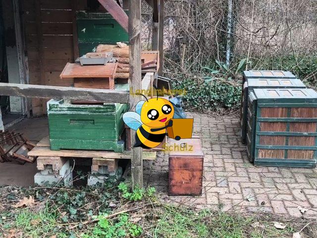 Bienenmuseum, erster Schritt gemacht