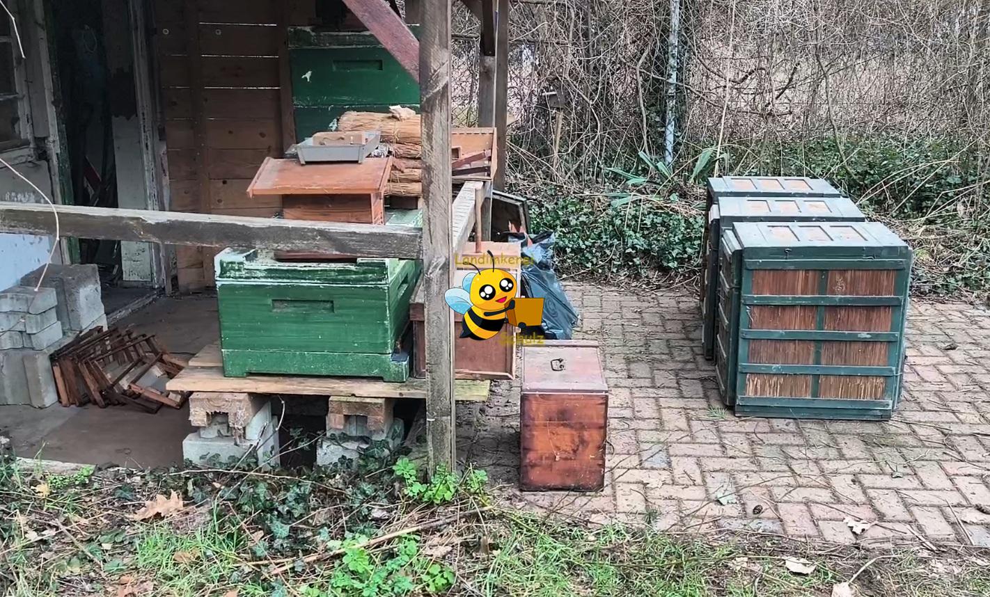 Du betrachtest gerade Bienenmuseum, erster Schritt gemacht